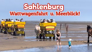 Cuxhaven: “Traumhaftes Sahlenburg“ Pfingsten 2026! 🦀 🏇🏿🏖️