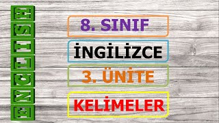 8. Sinif İngi̇li̇zce 3. Üni̇te Keli̇meleri̇ -Resi̇mli̇ - Bi̇lgi̇yolcusu
