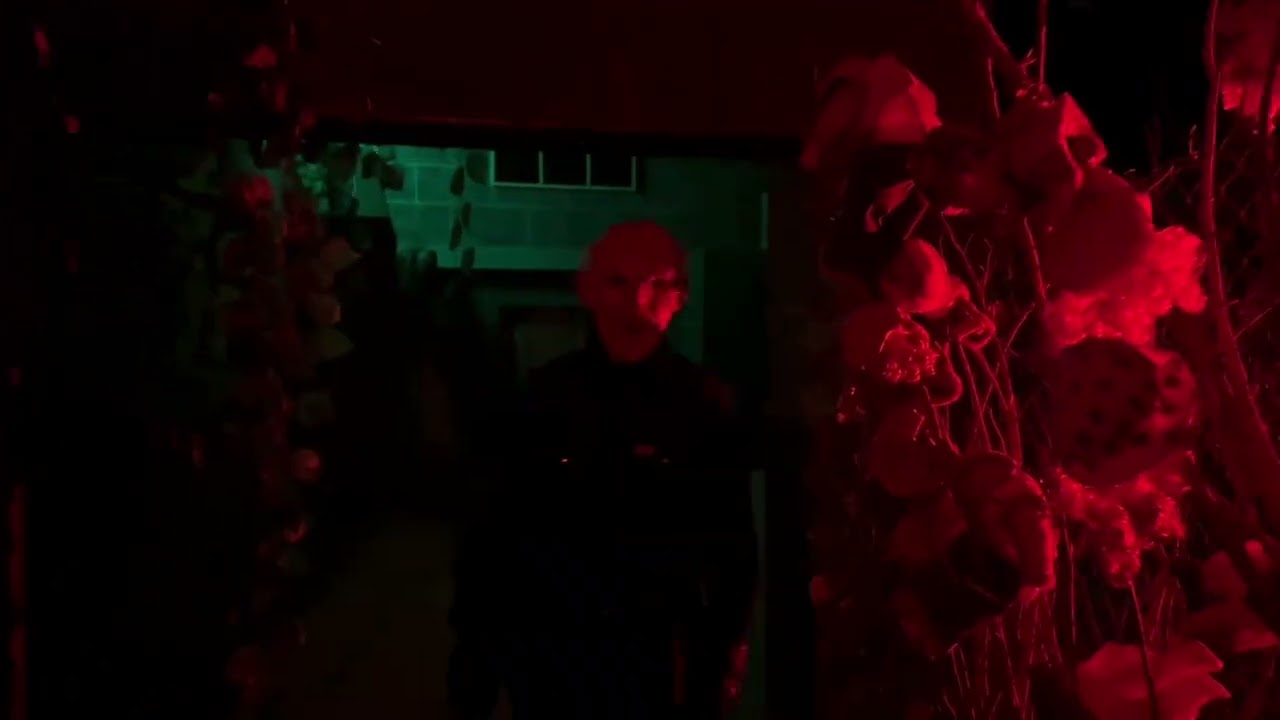 Doll’s Trip, Blvd World. Riyadh