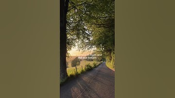 تلاوة خاشعة للشيخ ماهر المعيقلي #اسلام_صبحي #القرآن_الكريم #تلاوات #تلاوة_خاشعة #قرآن #ماهر_المعيقلي