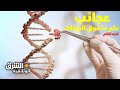 عجائب علم ما فوق الجينات الجزء الثاني الشرق الوثائقية
