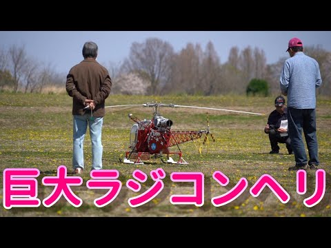 エンジンヘリコプター Amazon | 1PZ JP3-4C5 19mm キャブレター 耐久性 ホンダ ライブ