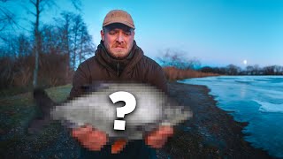 My Quest for the UK's Most Hated Fish..