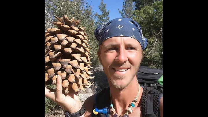 Kristopher Fowler AKA Sherpa