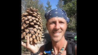 Kristopher Fowler AKA Sherpa