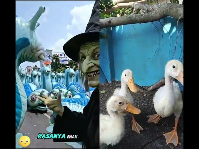 siput anomali #neneksihir #videolucu #trendingshorts #anomali #duck #cute #balerinacappuchina #fyp