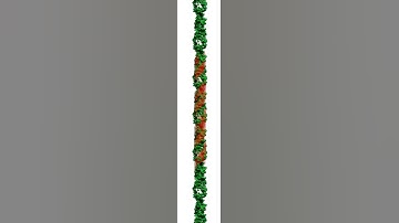 Dummy-atom modelling