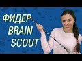 Фидер Brain Scout