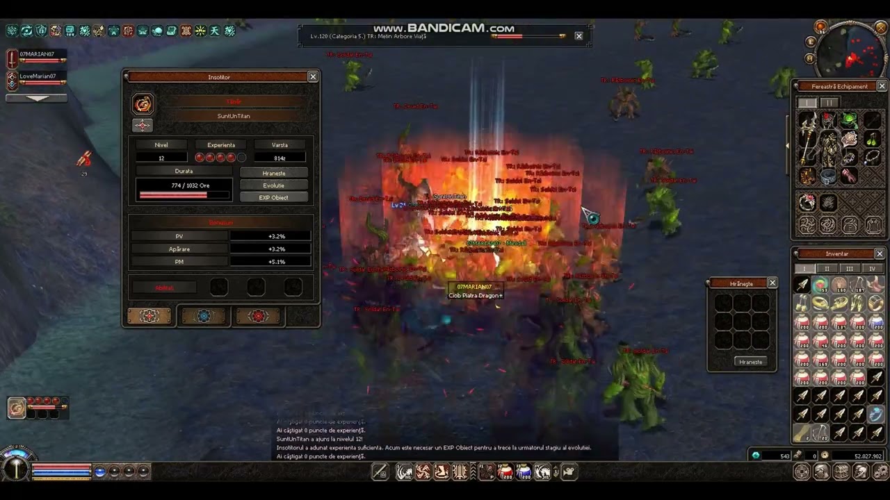 Metin2Ro 07MARIAN07 Tara Romaneasca--- Asa se face un pet bun!!!