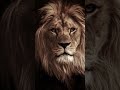 The lion motivational story today evening #lion #king #ajithkumar #good #bad #ugly