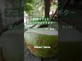 Natural Sonic「新緑カフェとアコースティックギター」ー 深くリラックスできる癒しBGM ー