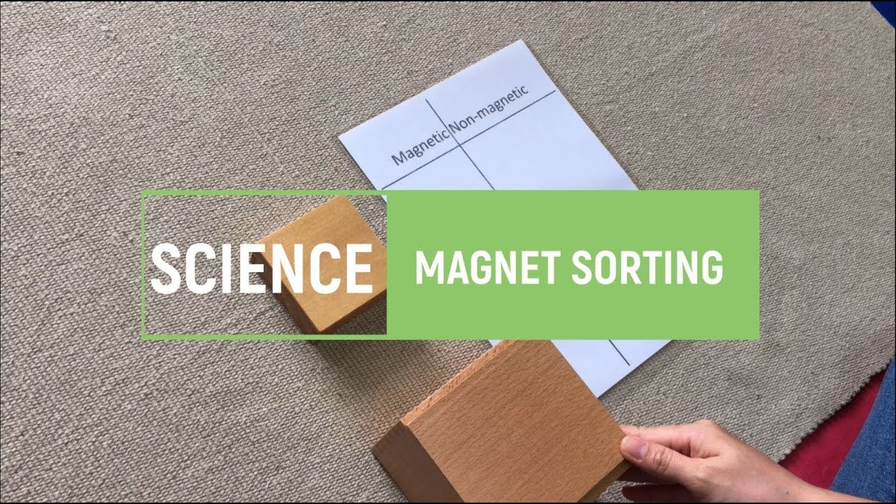[VMI] Science Sorting Montessori YouTube