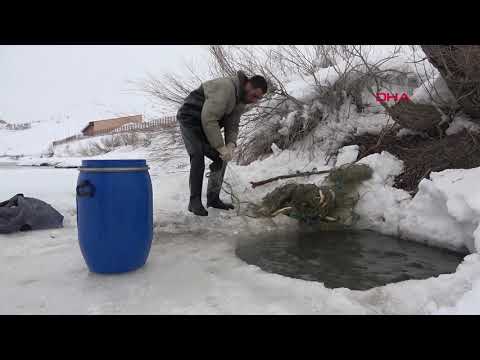 Yüksekova'da buz tutan derede, Eskimo usulu balık avı