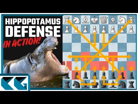 Video Chess Openings: DANGEROUS + RARE Hippopotamus Defense!... - youtube