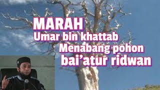 POHON bai’atur ridwan yg di tebang UMAR bin khattab, SYIRIK yang sering di lakukan sampai sekarang,