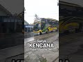 Hunting bus Surya KENCANA Putra Luragung Sakti #kencana #suryakencana #putraluragungsakti