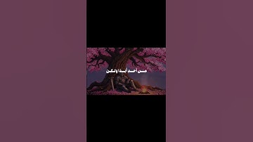 من روائع الشيخ المنشاوي - سورة النور #قرآن