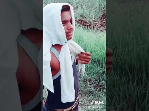 Fuuny vedio