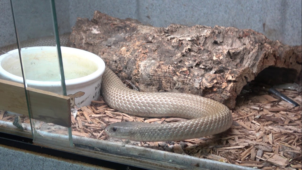 April 2018 Mixed Bag