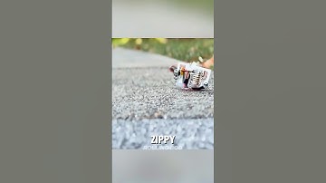 This Mini Robot is Fast #shortsfeed #robot