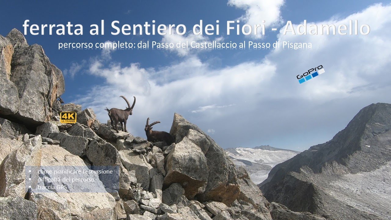 Ferrata al Sentiero dei Fiori “completo”, dal Passo del Castellaccio al Passo di Pisgana. Tonale