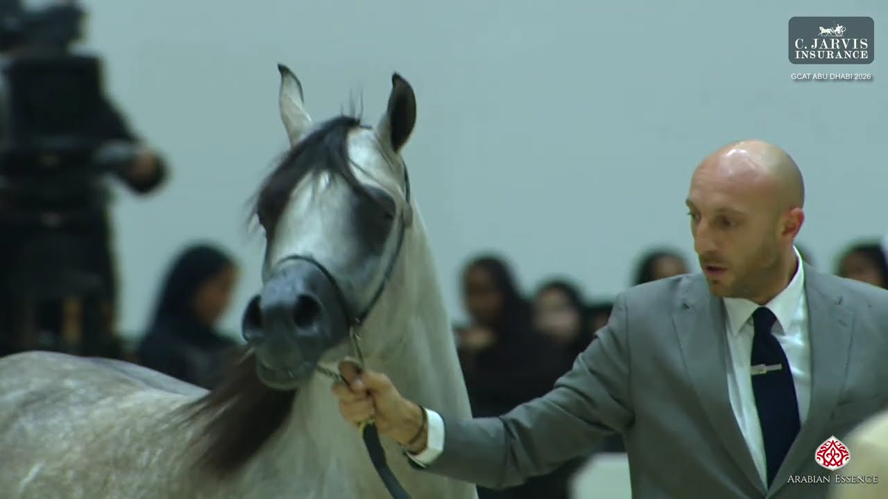 GCAT Abu Dhabi 2026   Class   6A