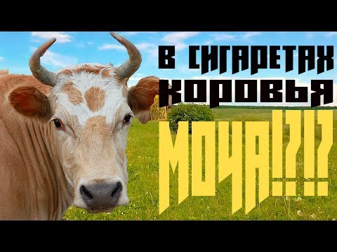 СИГАРЕТЫ. Из чего ДЕЛАЮТ? (почему я БРОСИЛ ИХ КУРИТЬ!?)