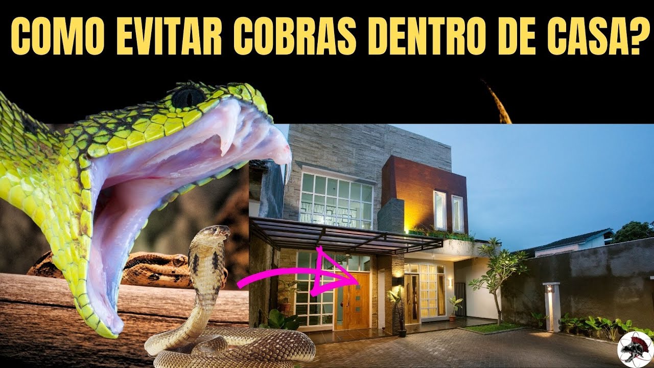 Como Evitar Cobras dentro de Casa? | Biólogo Henrique o Biólogo das Cobras