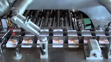 PPL 260P High Speed Automatic Cartoning Machine