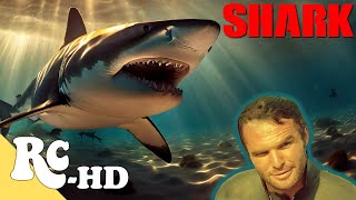 Shark
