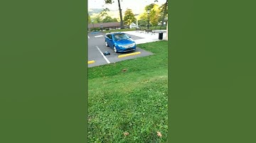 Arrma Outcast 6s EXB