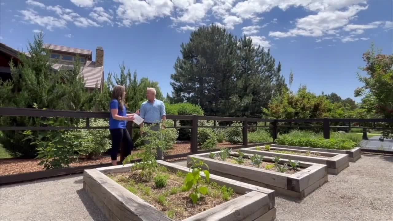 Experts share tips on how to start your perfect Colorado garden