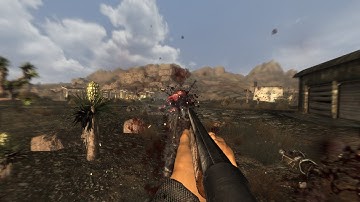 FNV Clean Animations | Hunting Shotgun