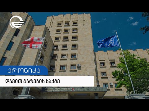 ყოფილი მთავრობის და ზურაბ ნოღაიდელის როლი დავით გარეჯის საქმეში