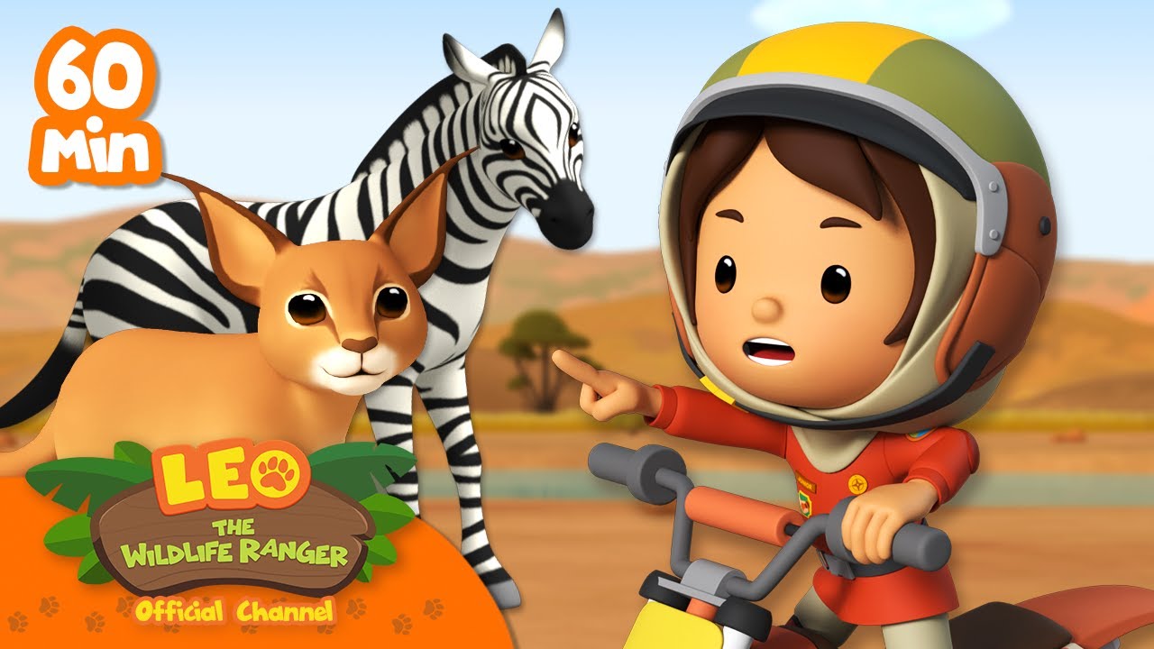 1 HOUR OF ANIMALS WITH SPECIAL FEATURES! | Leo the Wildlife Ranger ...