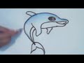 تعلم الرسم كيفية رسم دلفين مع الخطوات للمبتدئين