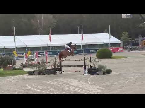 Quickly D vh Ijzerenlindehof 150 CSI3* Opglabbeek 3rd place JO