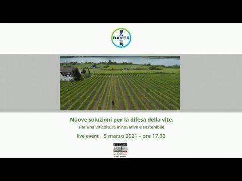 Video: Viticoltura negli Stati Uniti centrali: scelta delle viti per i giardini dell'Ohio Valley