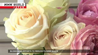 Blossoming efforts to reduce flower wasteーNHK WORLD-JAPAN NEWS
