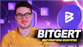 Bitgert: Digital Asset for Growth!
