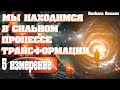 МЫ НАХОДИМСЯ В СИЛЬНОМ ПРОЦЕССЕ ТРАНСФОРМАЦИИ | Абсолютный Ченнелинг