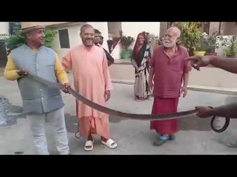 मंदिर में घुस गया सांप मुझे ही पकड़ लिया सांप ने पकड़ कर जंगल में छोड़ा @bharatbhushankaushal9349 