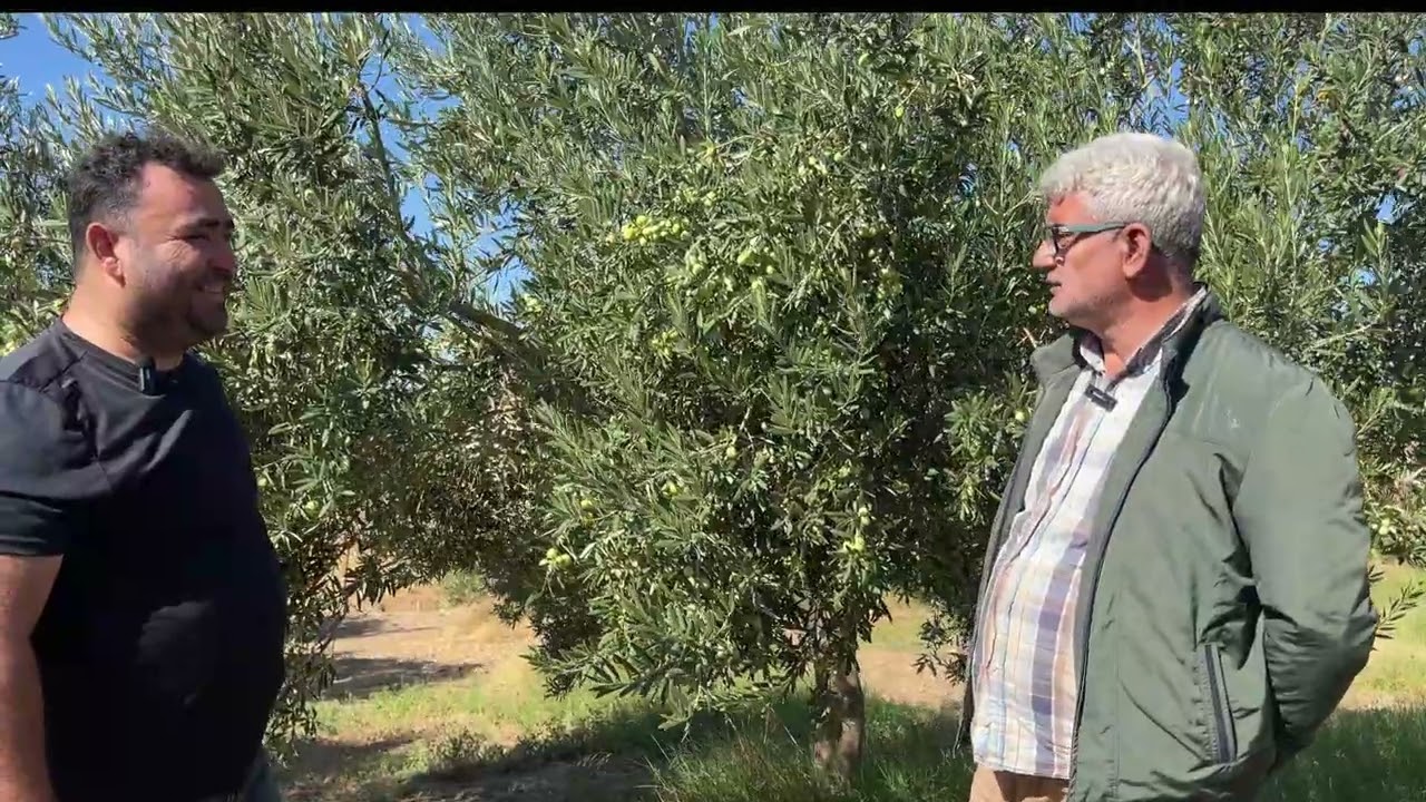 VAR YILI YOK YILI YOK !!!!