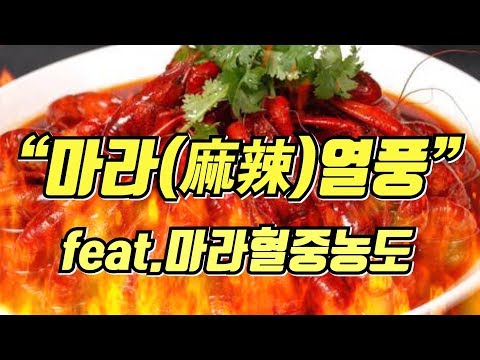 왜 지금 한국은 마라(麻辣)열풍일까? 진실과 거짓사이  [9G 40화] 중국문화
