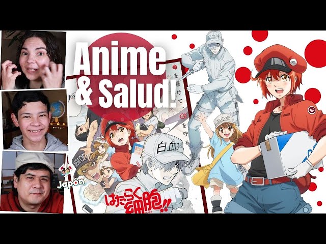 El anime Hataraku Saibou Black revela un nuevo video promocional — Kudasai