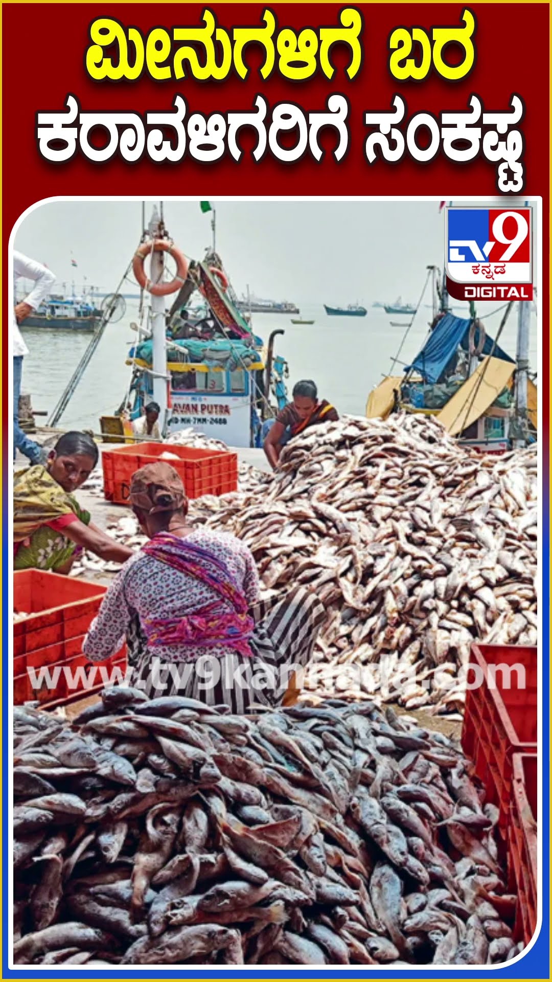 ಸಮುದ್ರ ಮೀನುಗಾರರಿಗೆ ಸಂಕಷ್ಟ! #fisheriesdepartmentofkarnataka | #TV9D