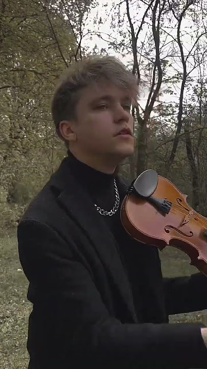 mockingbird violin cover - zotov