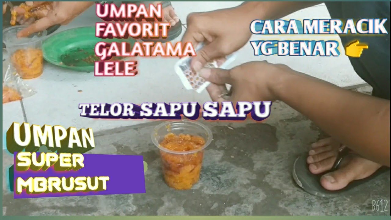 UMPAN GALATAMA LELE SUPER MBRUSUT👉