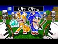 Sonic & Tails' LIFE in Minecraft - Sonic Minecraft Stories