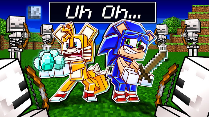Sonic & Tails' LIFE in Minecraft - Sonic Minecraft Stories